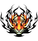 Tiger Face - Fire Effect